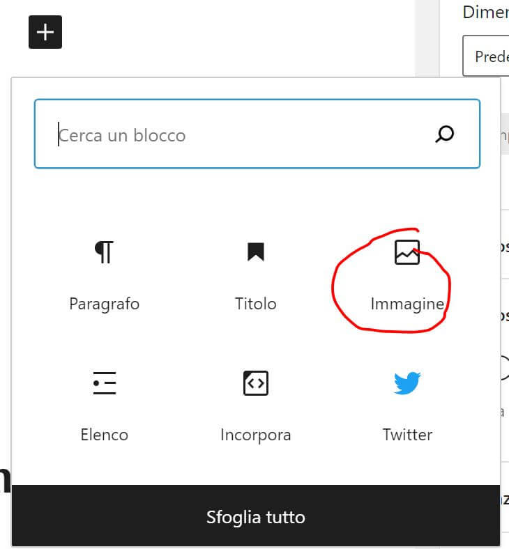 blocco immagini di Gutenberg